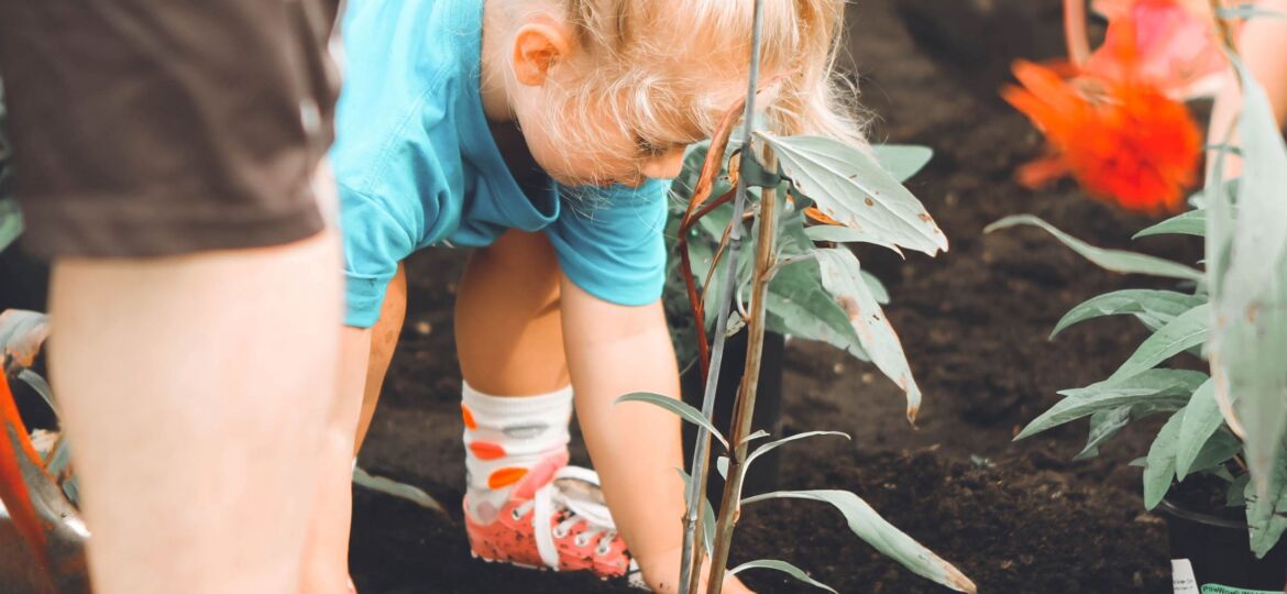 طفلة تساعد في زراعة النباتات، وتساهم في المشاركة في العمل التطوعي للأطفال.